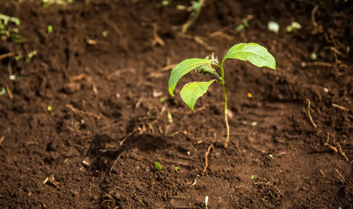 Our Sustainability Commitment